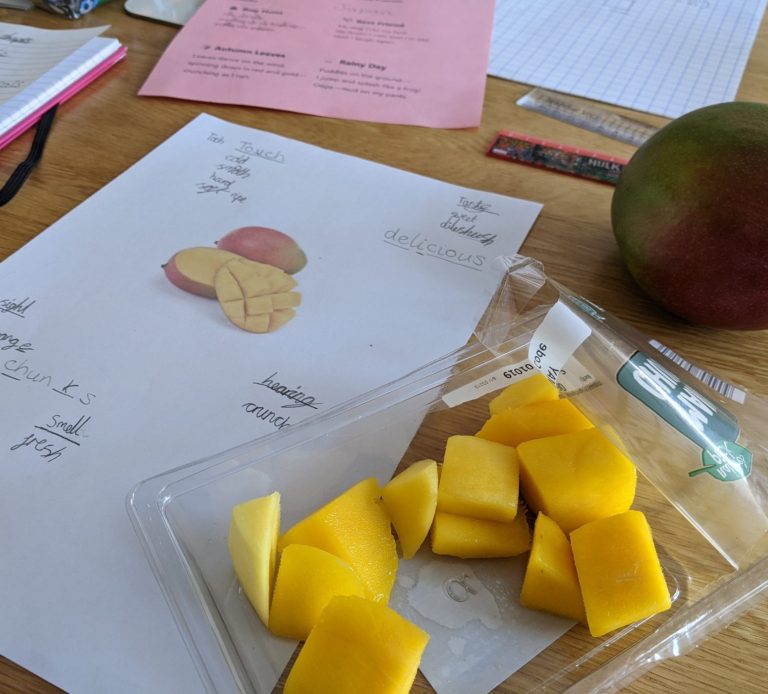 Sliced mango on a table with notes and a whole mango nearby.